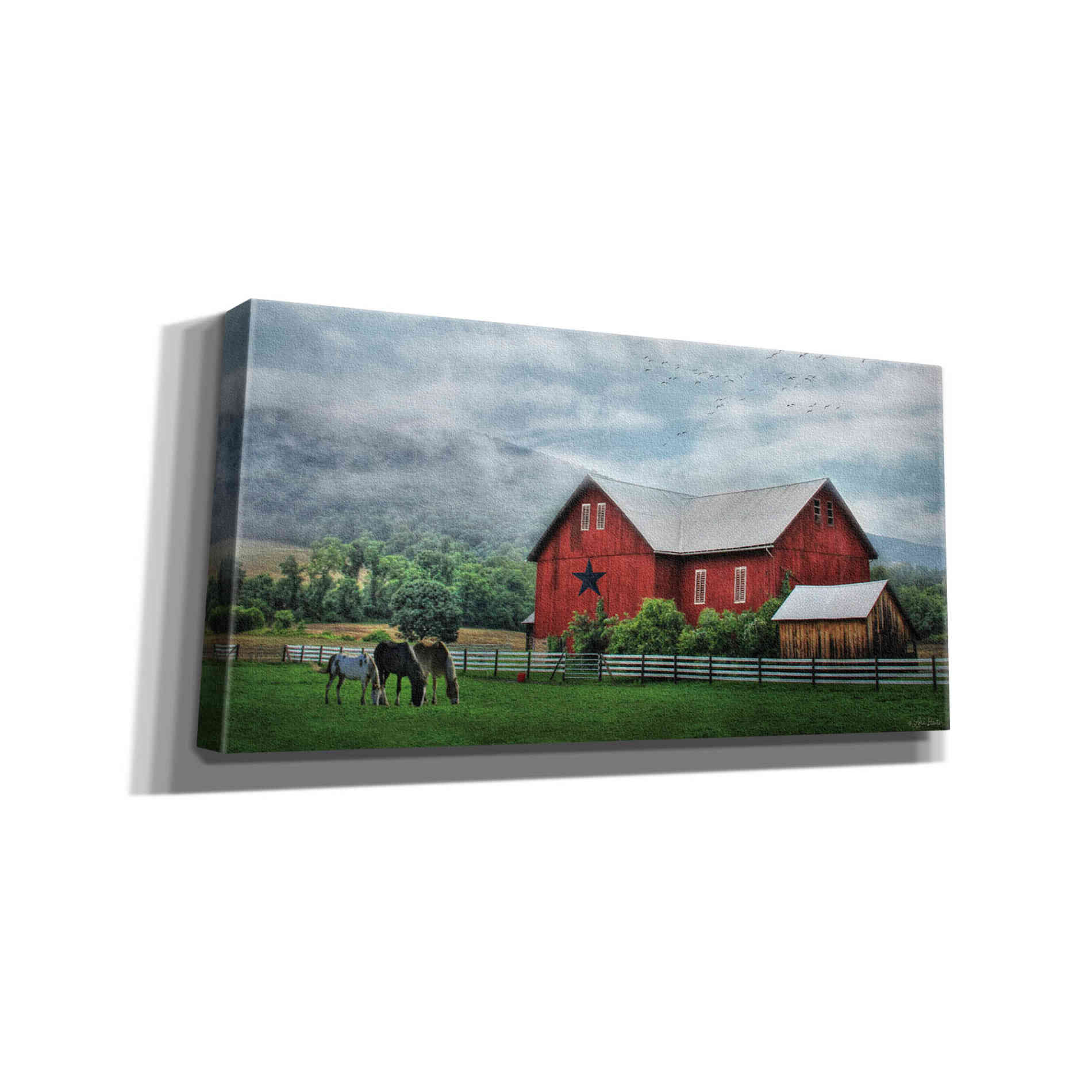 'Grazin' Time' by Lori Deiter, Canvas Wall Art