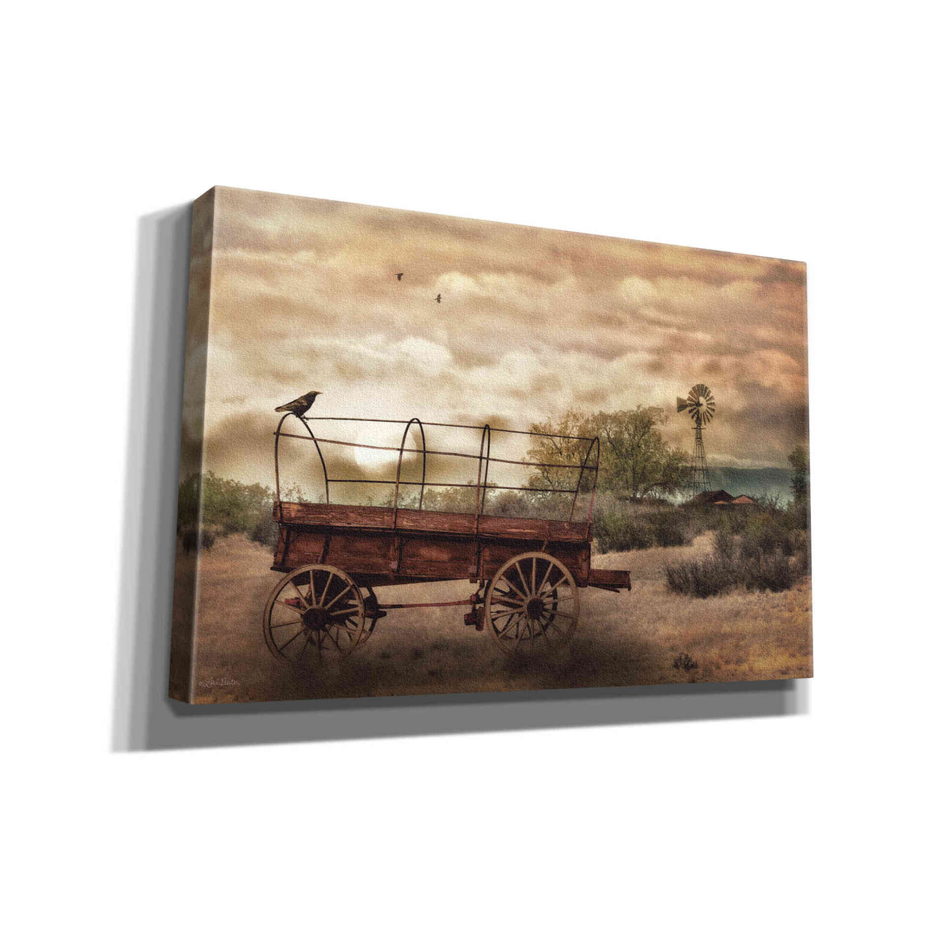 'Desert Wagon' by Lori Deiter, Canvas Wall Art