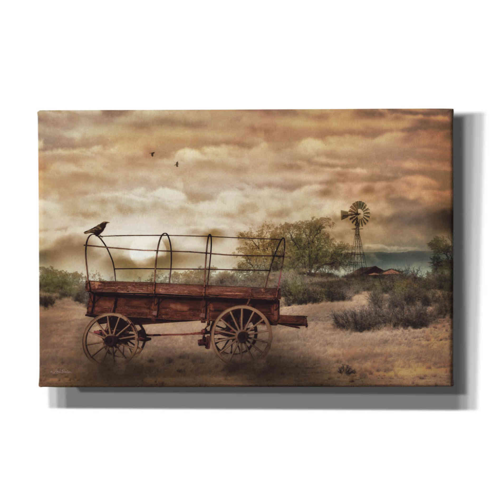 'Desert Wagon' by Lori Deiter, Canvas Wall Art