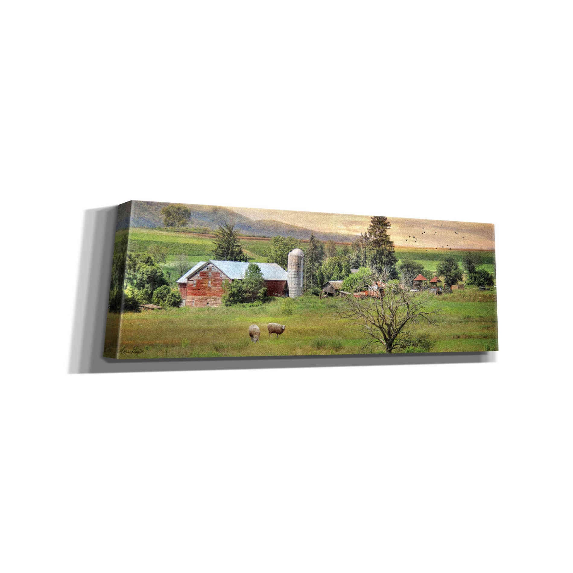 'Grazing Sheet' by Lori Deiter, Canvas Wall Art