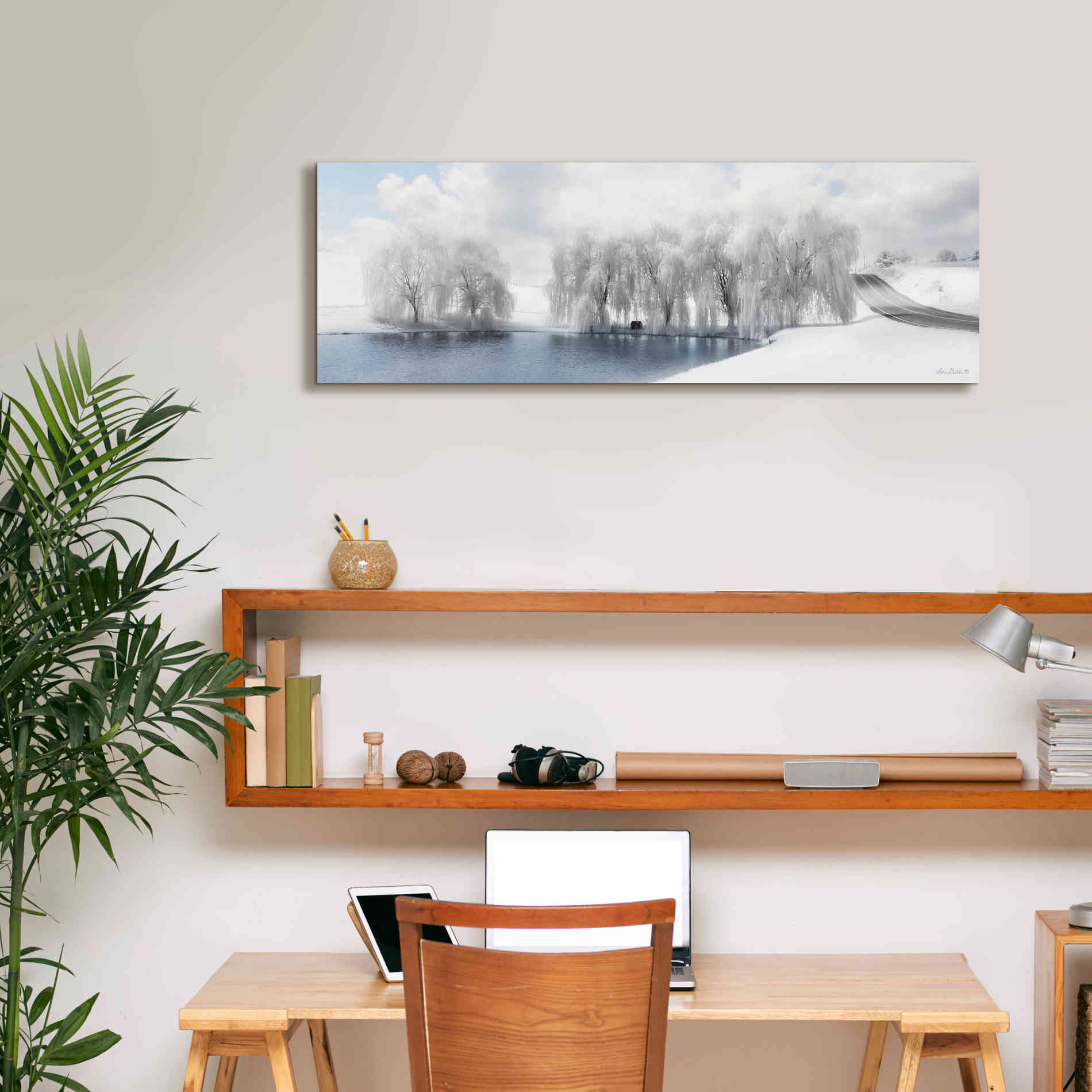 'Winter Willow' by Lori Deiter, Canvas Wall Art,36 x 12