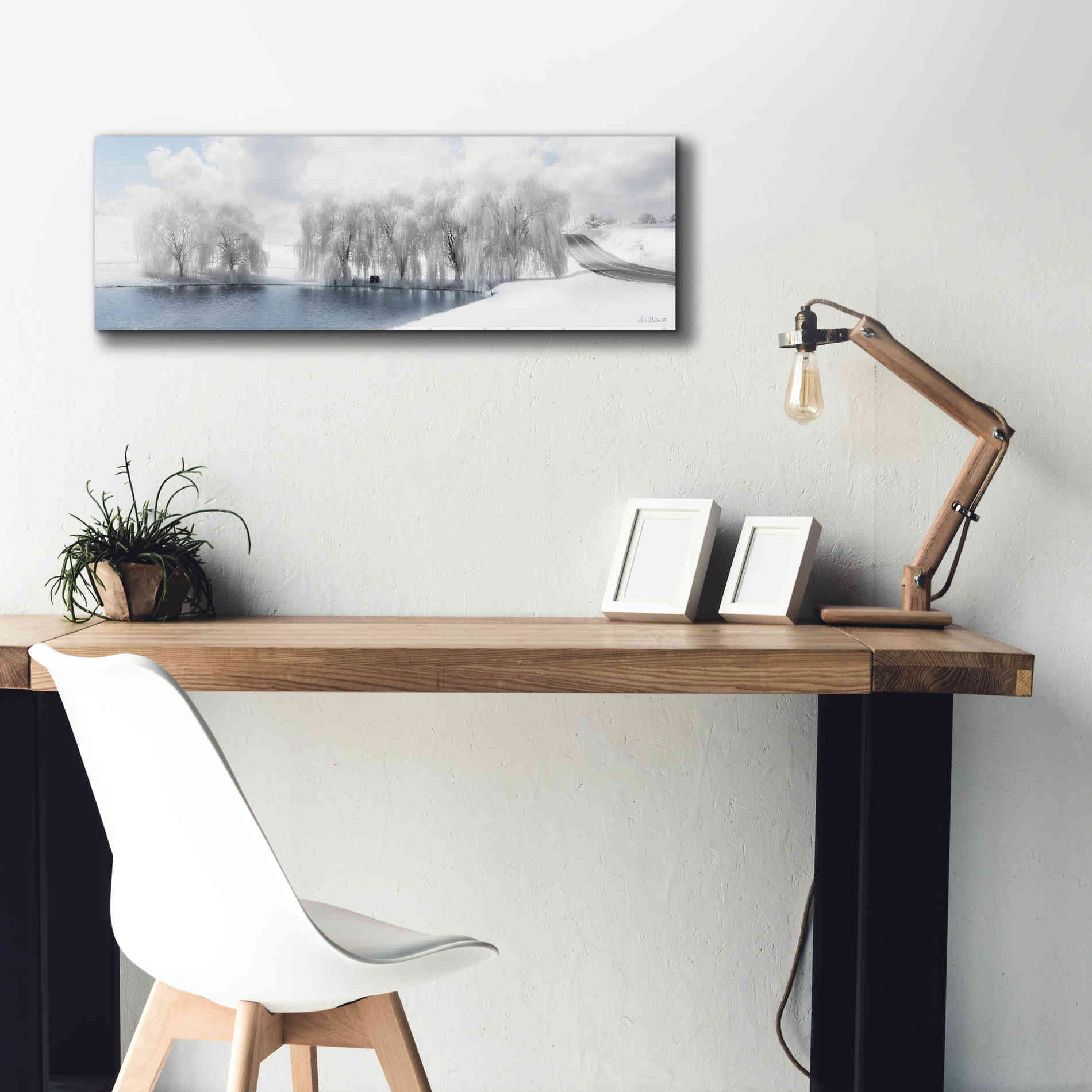 'Winter Willow' by Lori Deiter, Canvas Wall Art,36 x 12