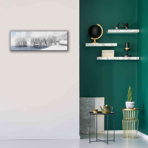 Image of 'Winter Willow' by Lori Deiter, Canvas Wall Art,36 x 12