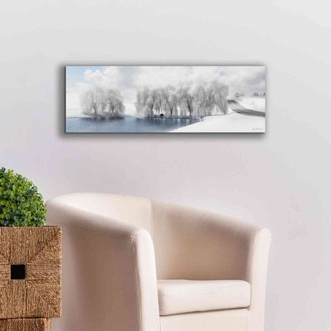 Image of 'Winter Willow' by Lori Deiter, Canvas Wall Art,36 x 12