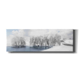 'Winter Willow' by Lori Deiter, Canvas Wall Art