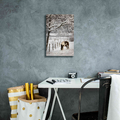 Image of 'Paint in the Snow' by Lori Deiter, Canvas Wall Art,12 x 18