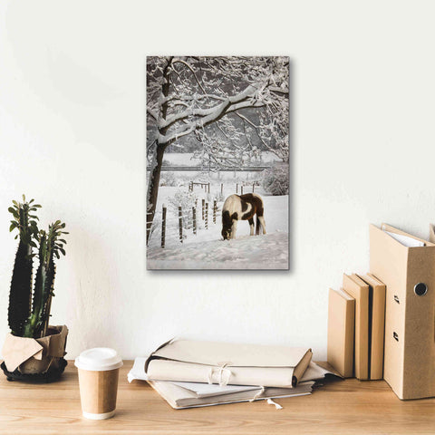 Image of 'Paint in the Snow' by Lori Deiter, Canvas Wall Art,12 x 18