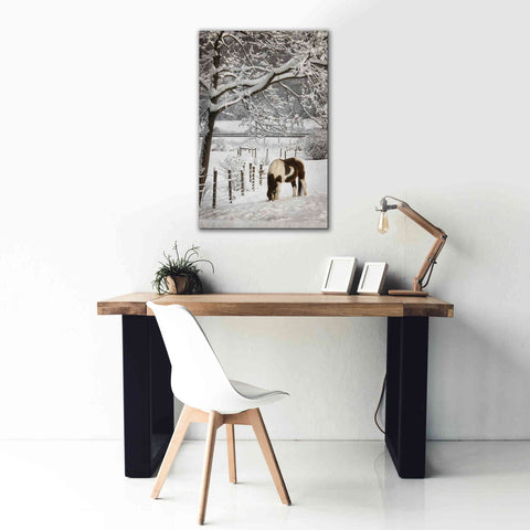 Image of 'Paint in the Snow' by Lori Deiter, Canvas Wall Art,26 x 40