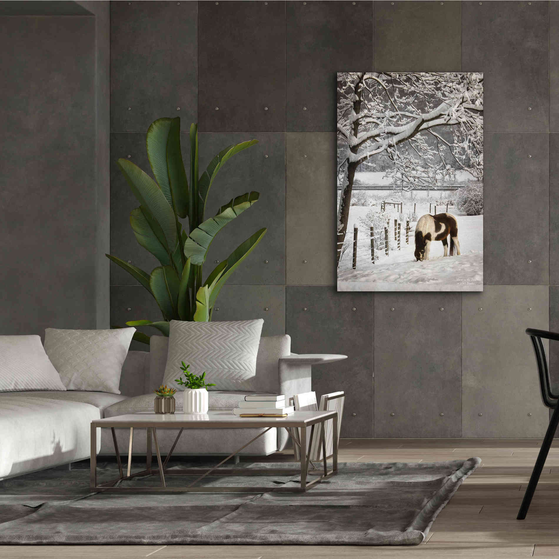 'Paint in the Snow' by Lori Deiter, Canvas Wall Art,40 x 60