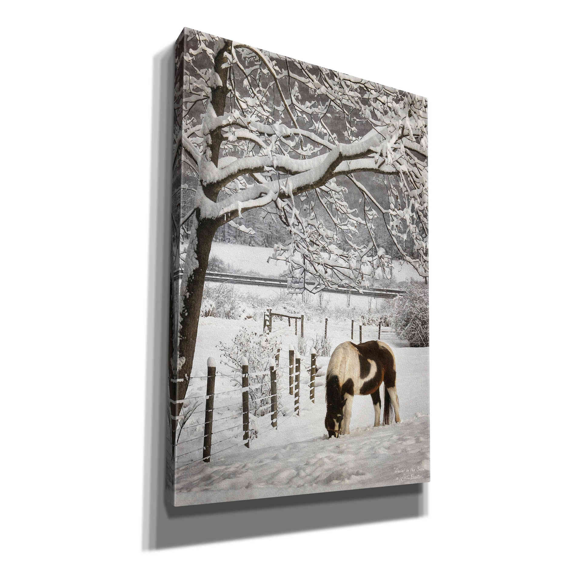 'Paint in the Snow' by Lori Deiter, Canvas Wall Art