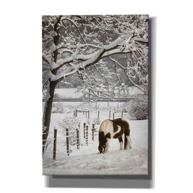 'Paint in the Snow' by Lori Deiter, Canvas Wall Art