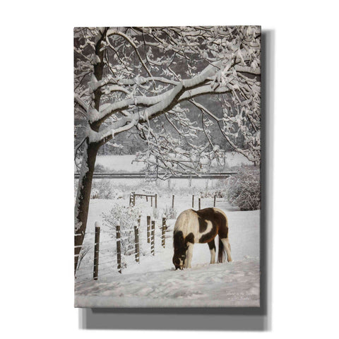 Image of 'Paint in the Snow' by Lori Deiter, Canvas Wall Art