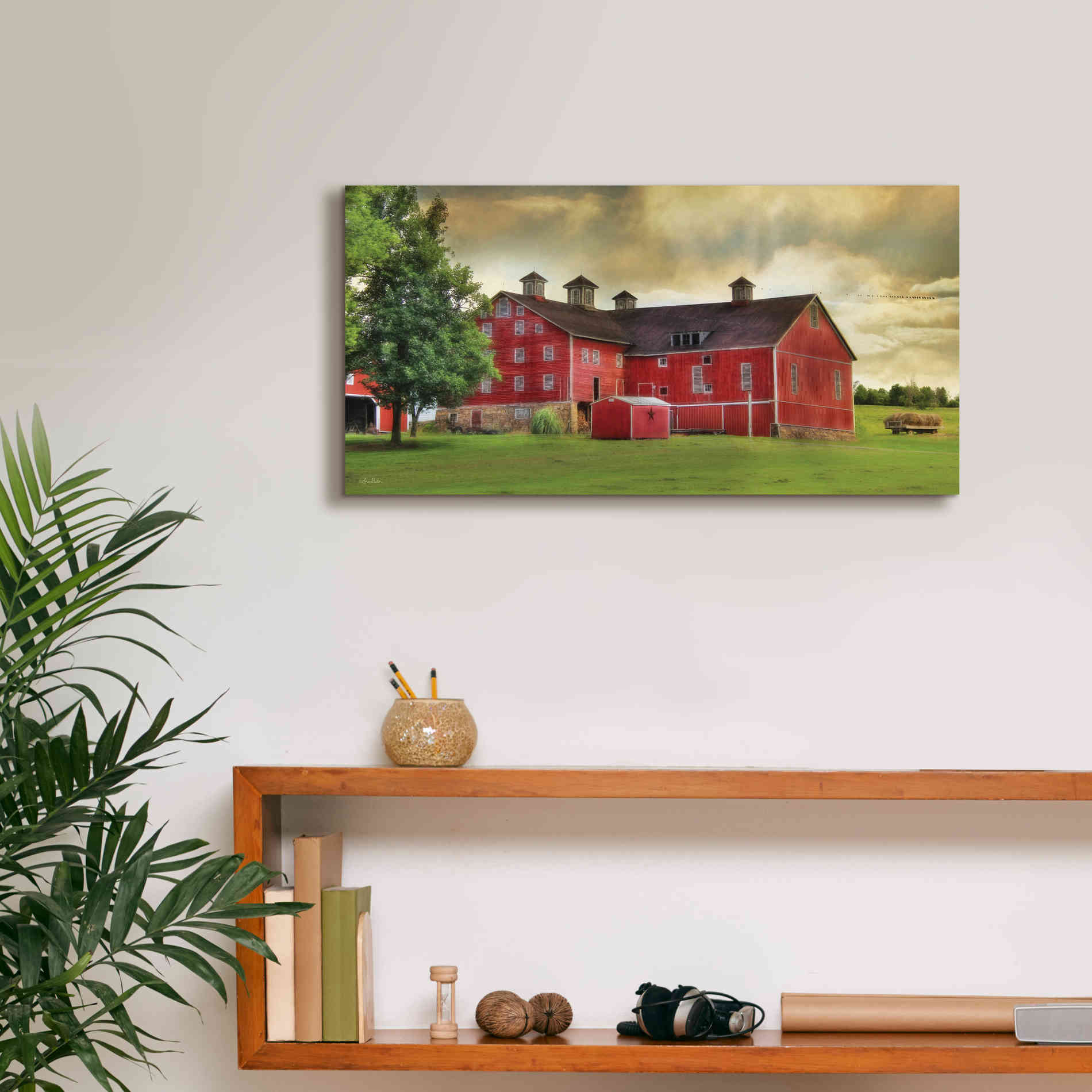 'Aging Gracefully' by Lori Deiter, Canvas Wall Art,24 x 12