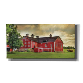 'Aging Gracefully' by Lori Deiter, Canvas Wall Art