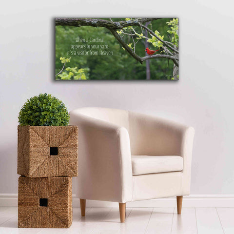 Image of 'Visitor from Heaven' by Lori Deiter, Canvas Wall Art,40 x 20