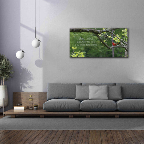 Image of 'Visitor from Heaven' by Lori Deiter, Canvas Wall Art,60 x 30