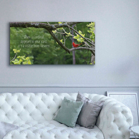 Image of 'Visitor from Heaven' by Lori Deiter, Canvas Wall Art,60 x 30