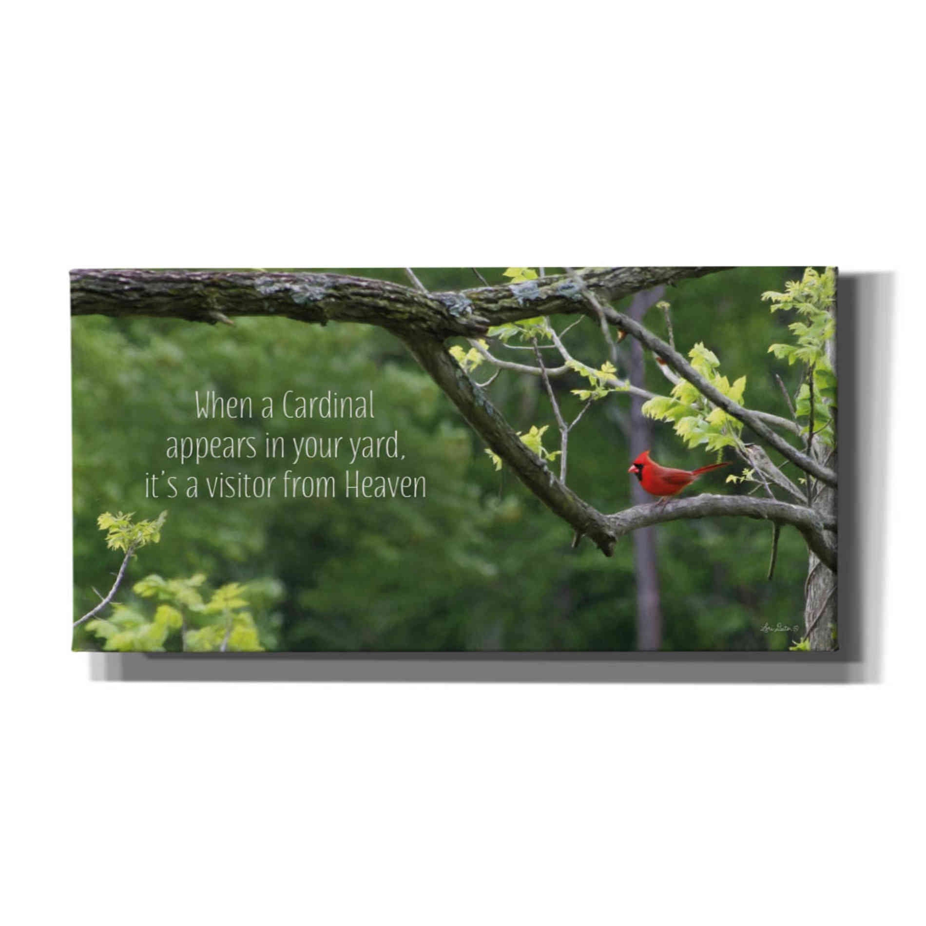 'Visitor from Heaven' by Lori Deiter, Canvas Wall Art