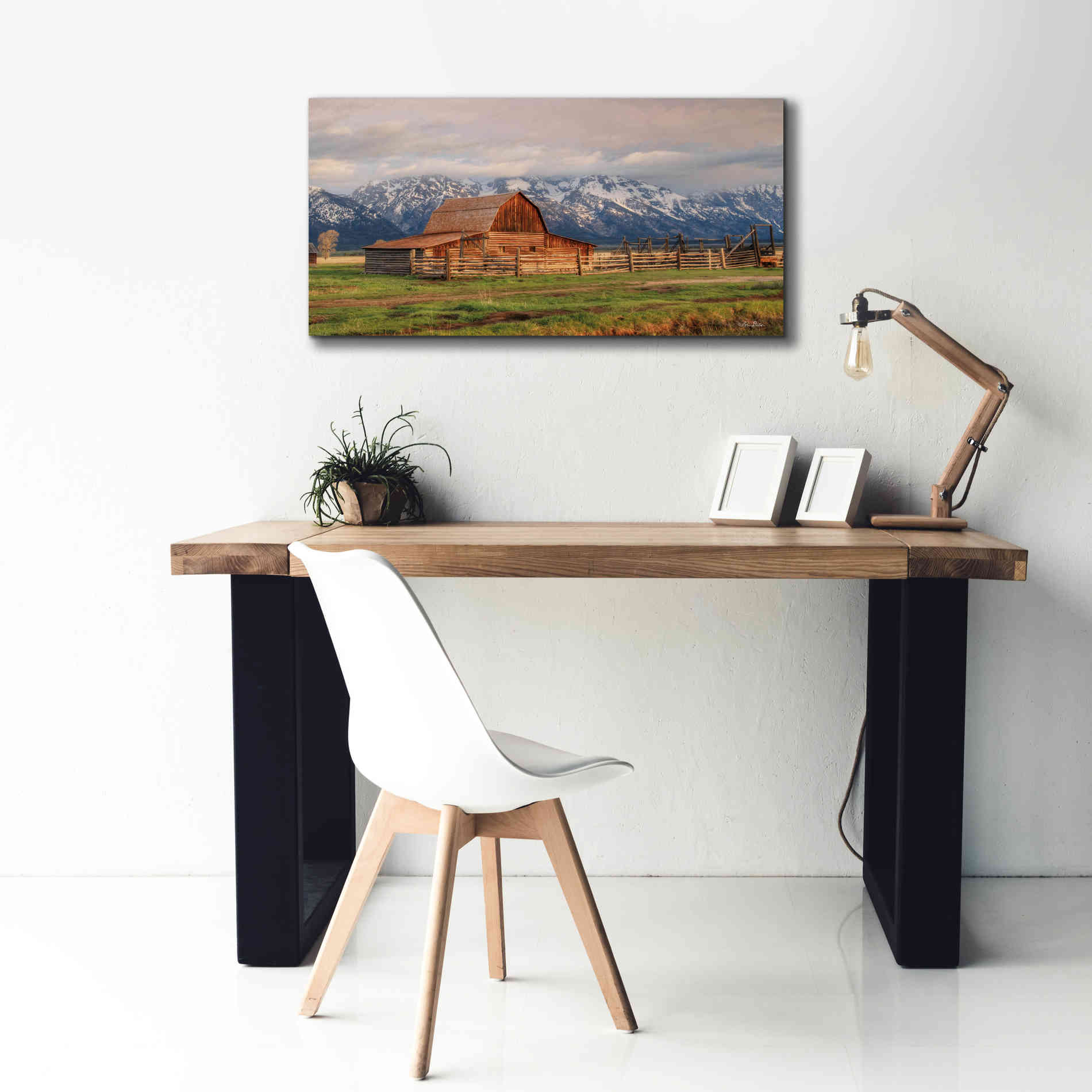 'Mormon Row II' by Lori Deiter, Canvas Wall Art,40 x 20