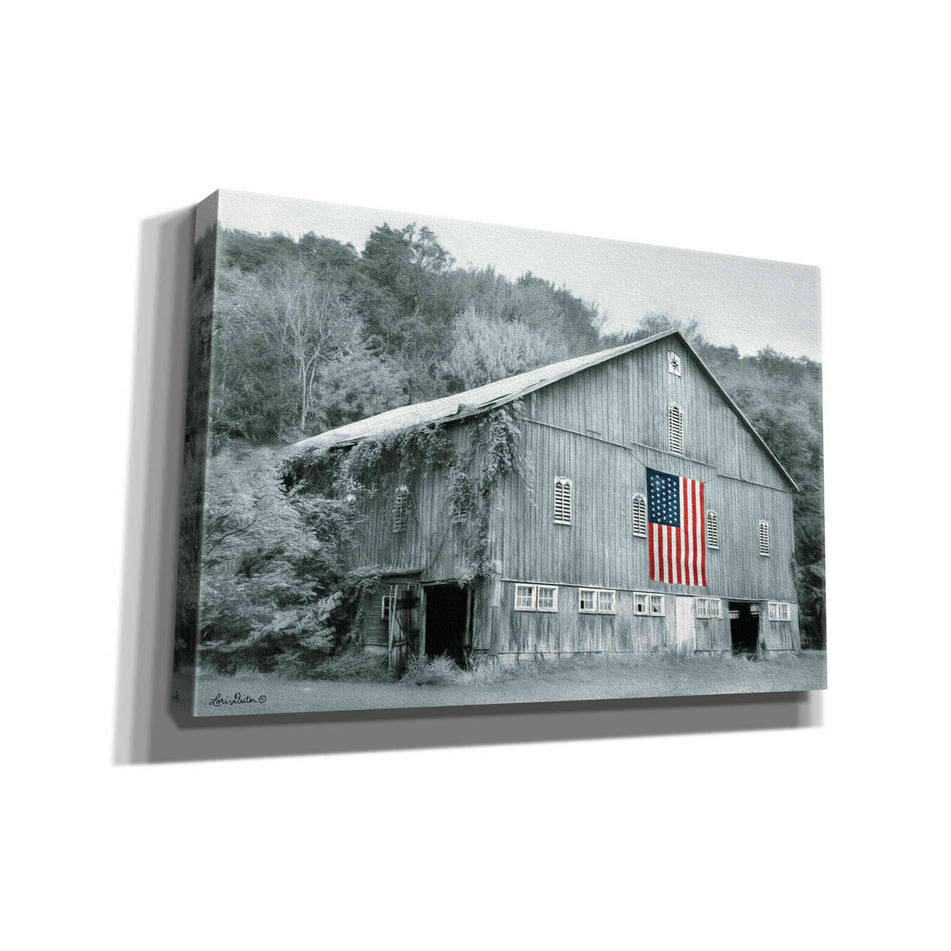 'Patriotic Farm II' by Lori Deiter Canvas Wall Art