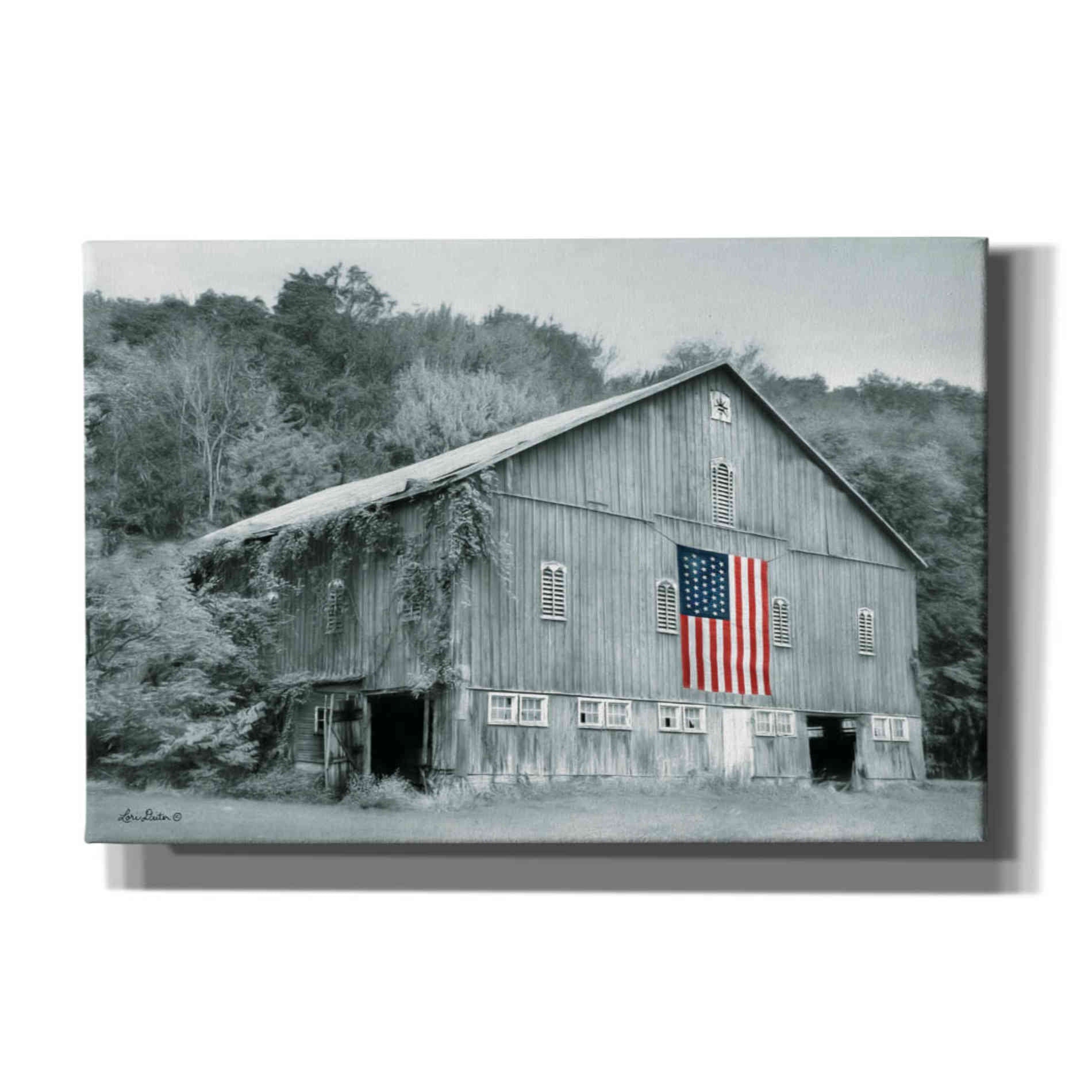'Patriotic Farm II' by Lori Deiter Canvas Wall Art