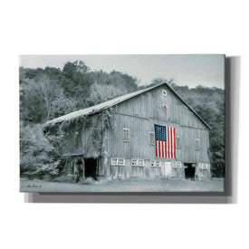 'Patriotic Farm II' by Lori Deiter Canvas Wall Art