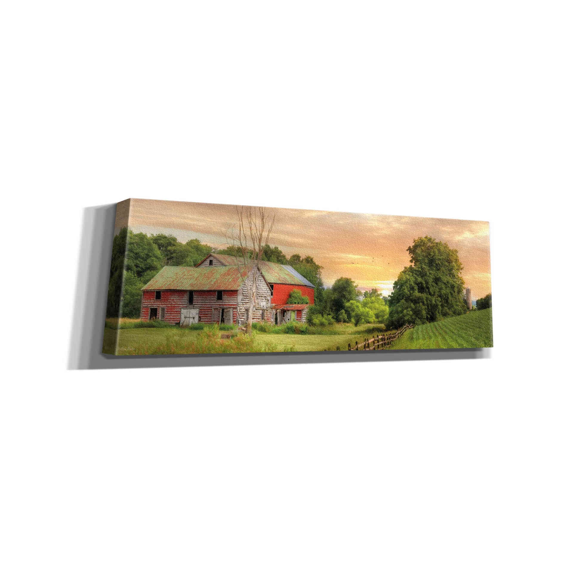 'Greener Pastures' by Lori Deiter Canvas Wall Art