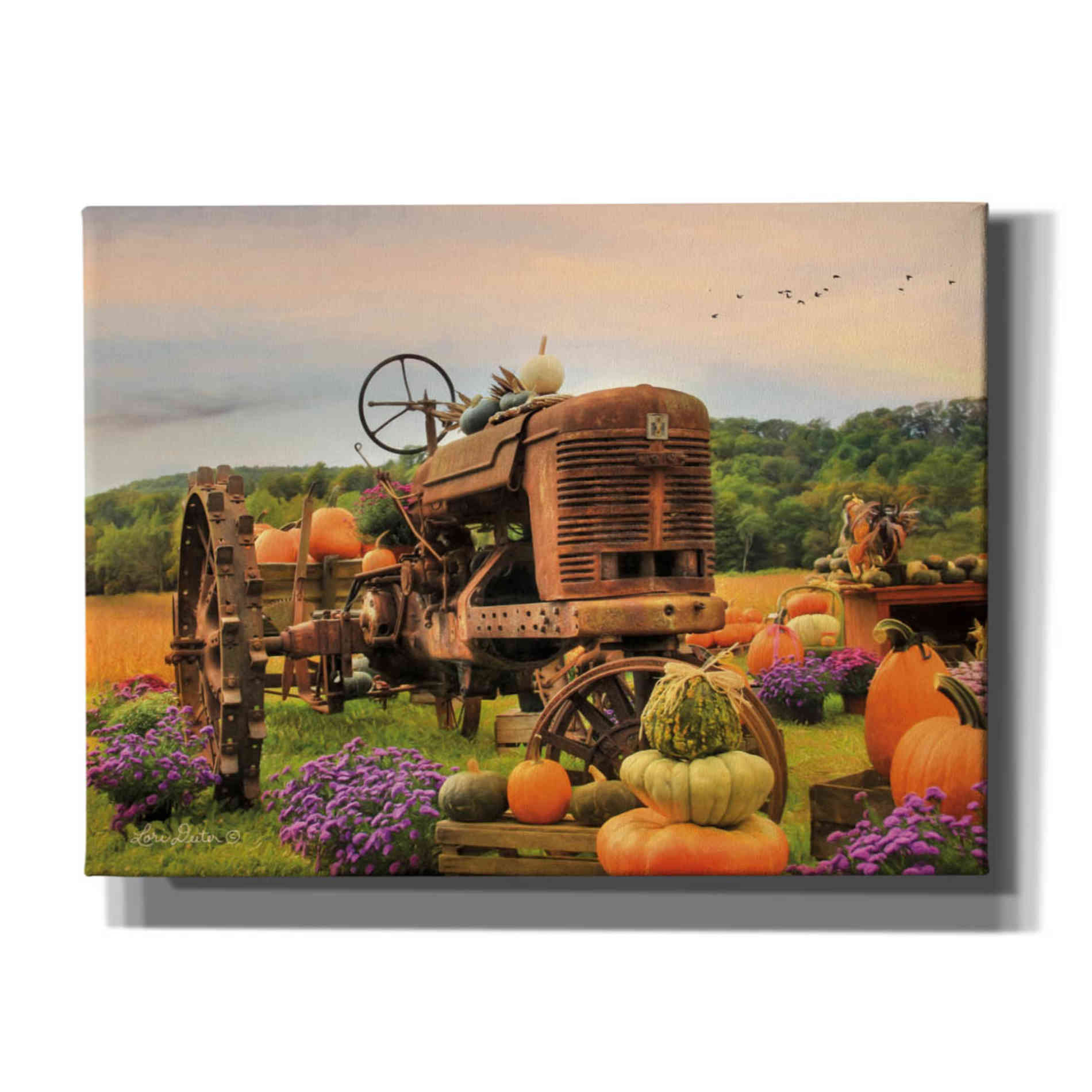 'The Harvester' by Lori Deiter Canvas Wall Art