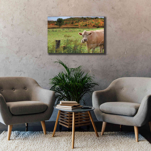 Image of 'Fall Cow' by Lori Deiter Canvas Wall Art,40 x 26