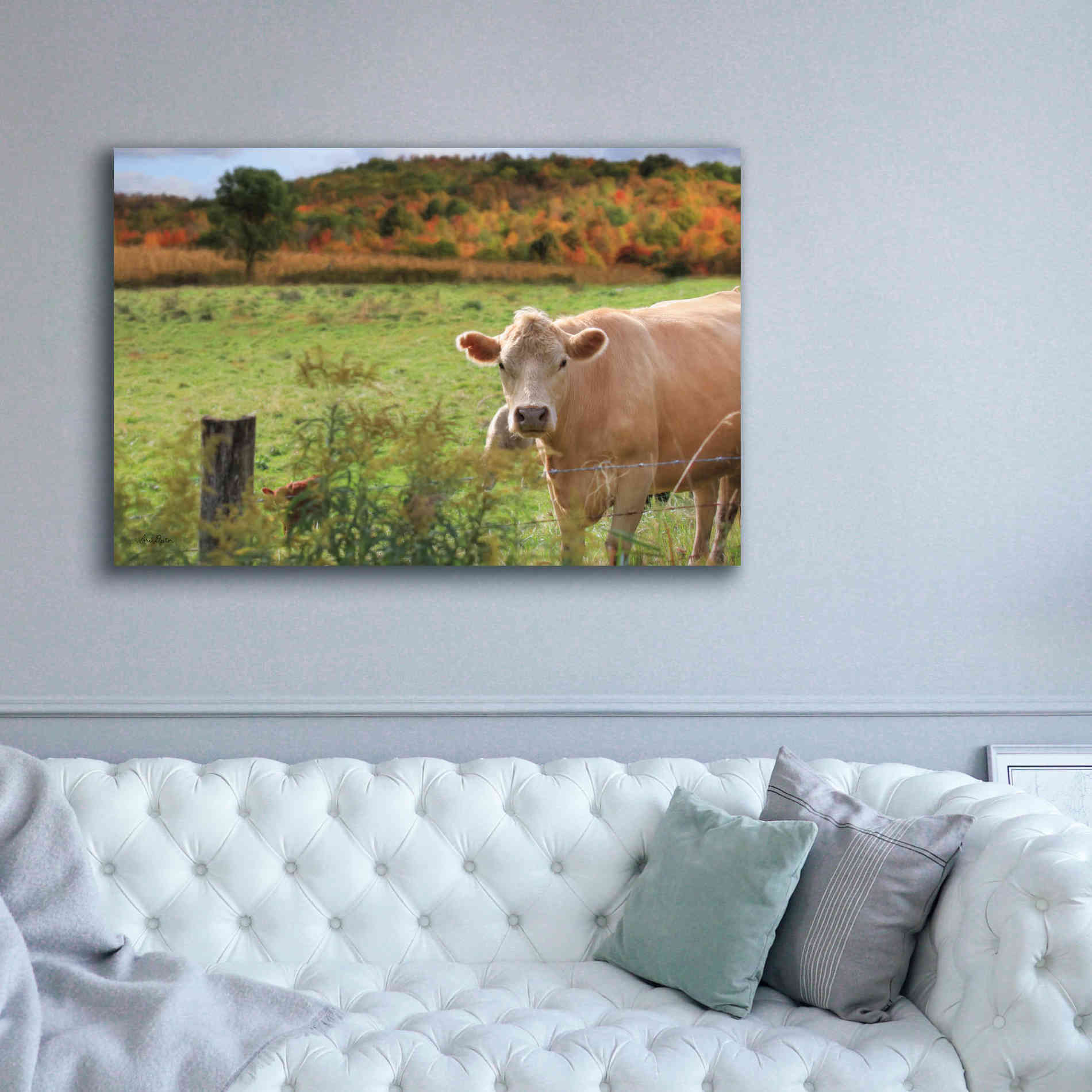 'Fall Cow' by Lori Deiter Canvas Wall Art,60 x 40