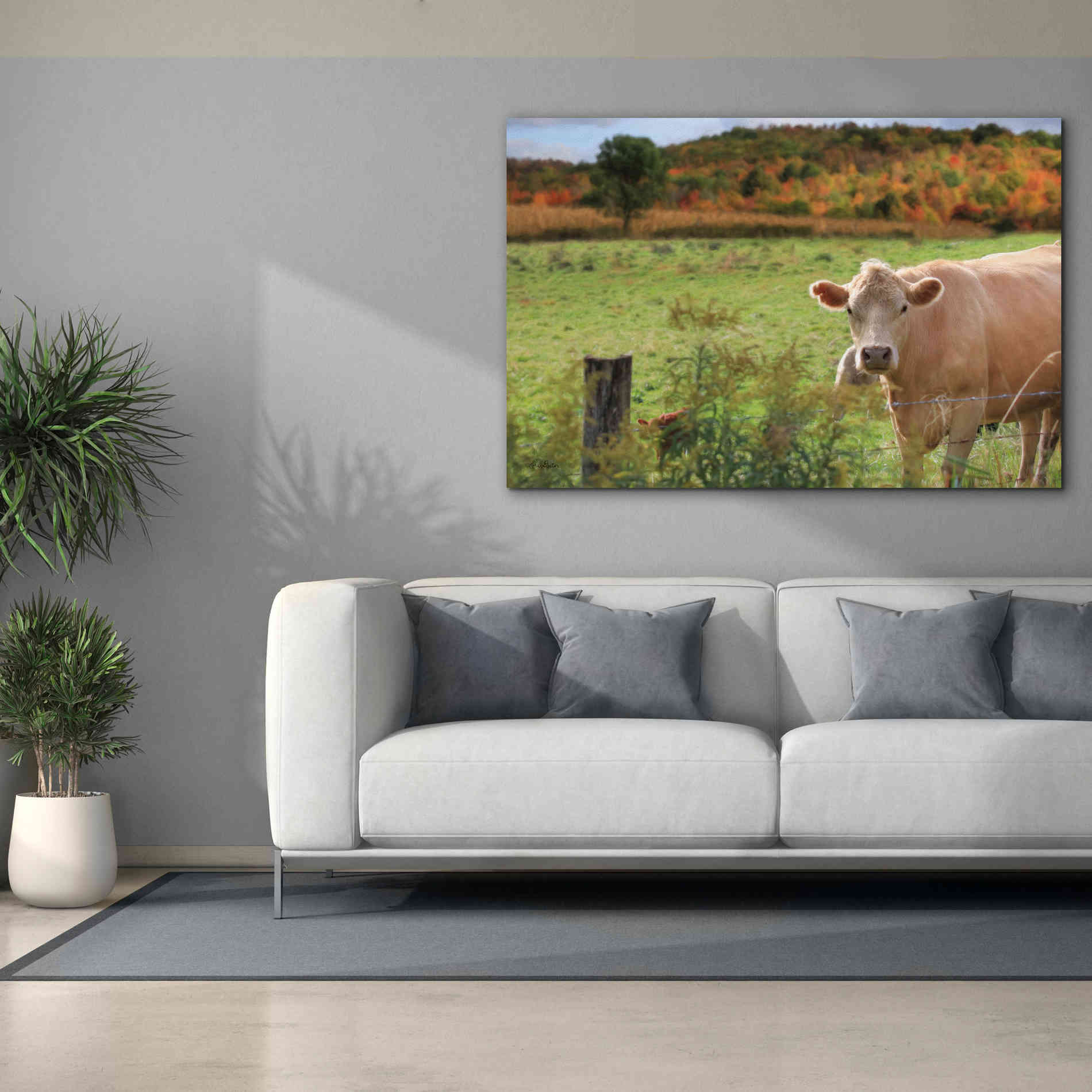'Fall Cow' by Lori Deiter Canvas Wall Art,60 x 40