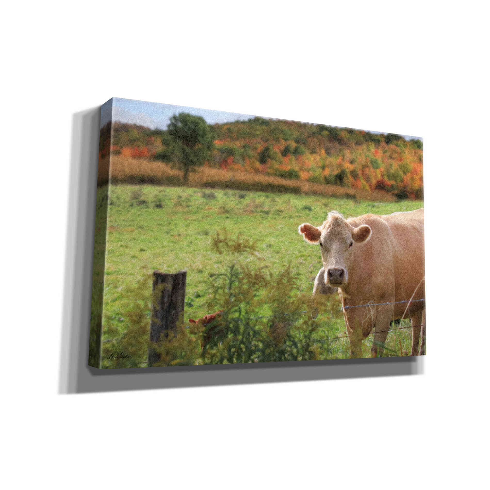 'Fall Cow' by Lori Deiter Canvas Wall Art