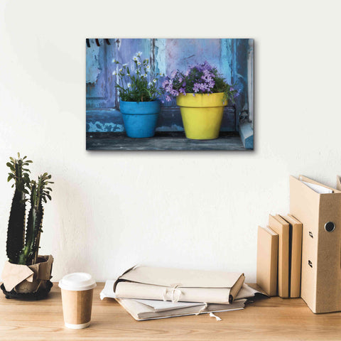 Image of 'She Shed Flowers' by Lori Deiter Canvas Wall Art,18 x 12