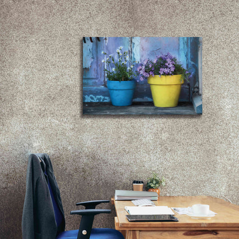 Image of 'She Shed Flowers' by Lori Deiter Canvas Wall Art,40 x 26