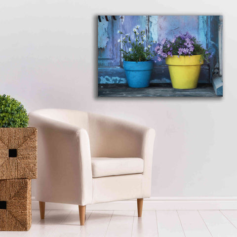 Image of 'She Shed Flowers' by Lori Deiter Canvas Wall Art,40 x 26