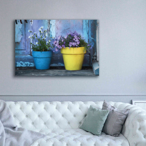 Image of 'She Shed Flowers' by Lori Deiter Canvas Wall Art,60 x 40