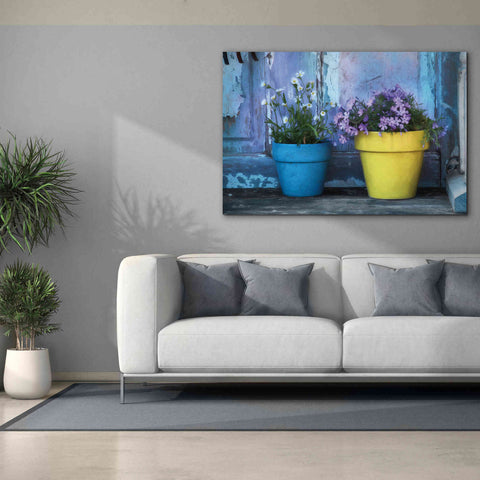 Image of 'She Shed Flowers' by Lori Deiter Canvas Wall Art,60 x 40