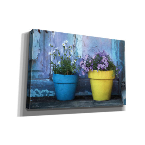 Image of 'She Shed Flowers' by Lori Deiter Canvas Wall Art