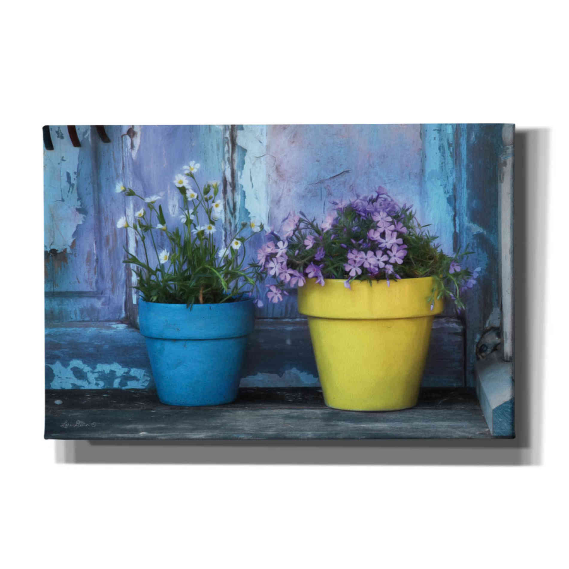 'She Shed Flowers' by Lori Deiter Canvas Wall Art