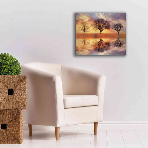 Image of 'Trio of Trees' by Lori Deiter Canvas Wall Art,24 x 20