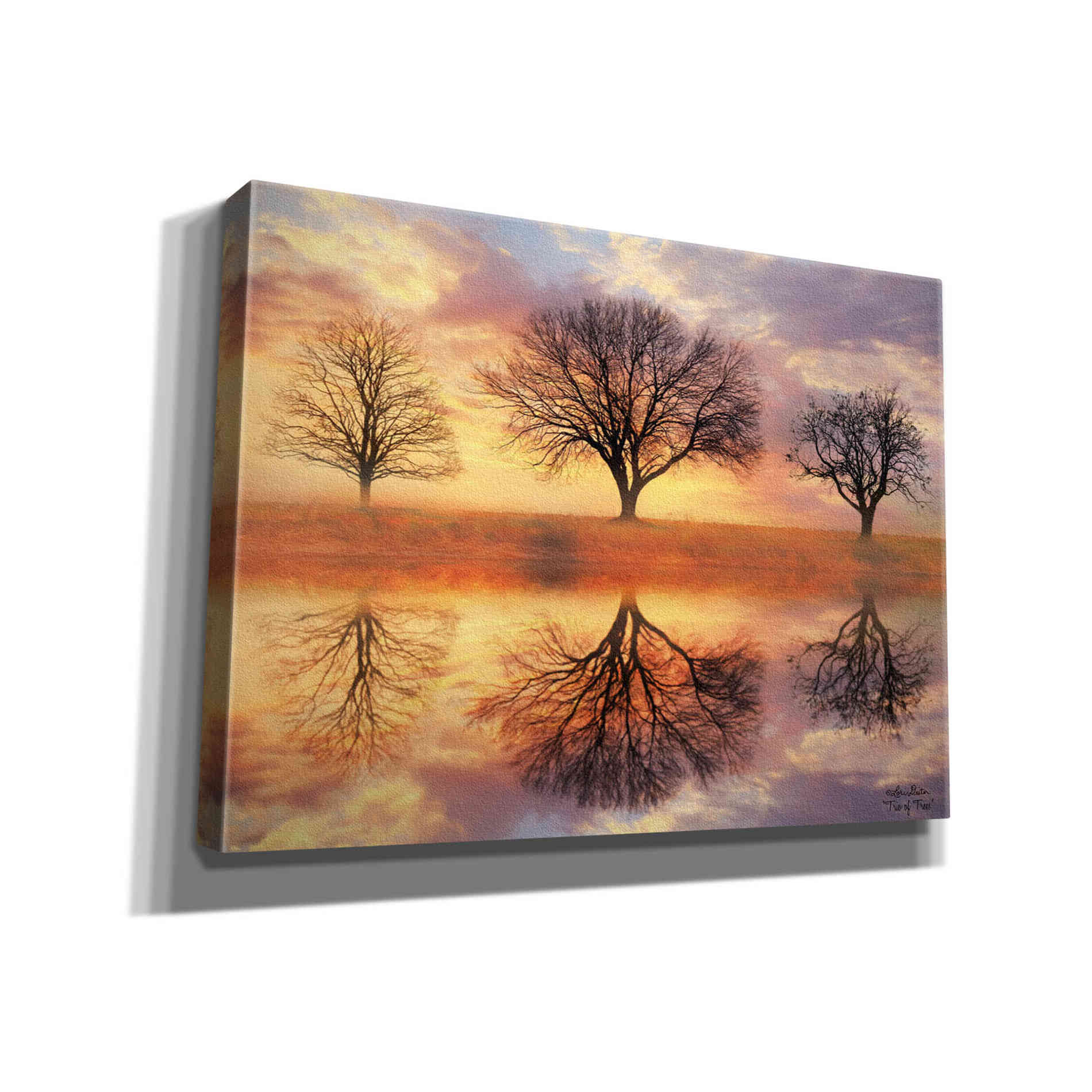 'Trio of Trees' by Lori Deiter Canvas Wall Art