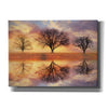 'Trio of Trees' by Lori Deiter Canvas Wall Art