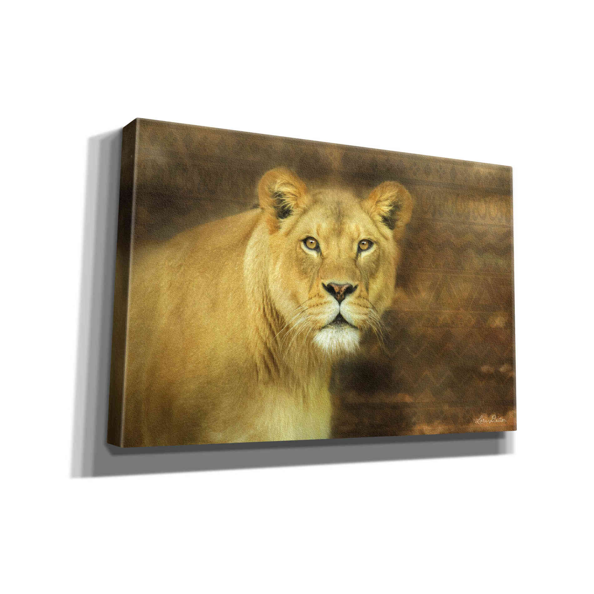 'Tribal Lioness' by Lori Deiter Canvas Wall Art