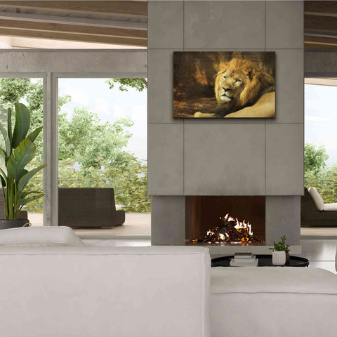 Image of 'Tribal Lion' by Lori Deiter Canvas Wall Art,40 x 26