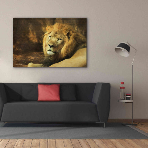 Image of 'Tribal Lion' by Lori Deiter Canvas Wall Art,60 x 40