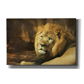 'Tribal Lion' by Lori Deiter Canvas Wall Art