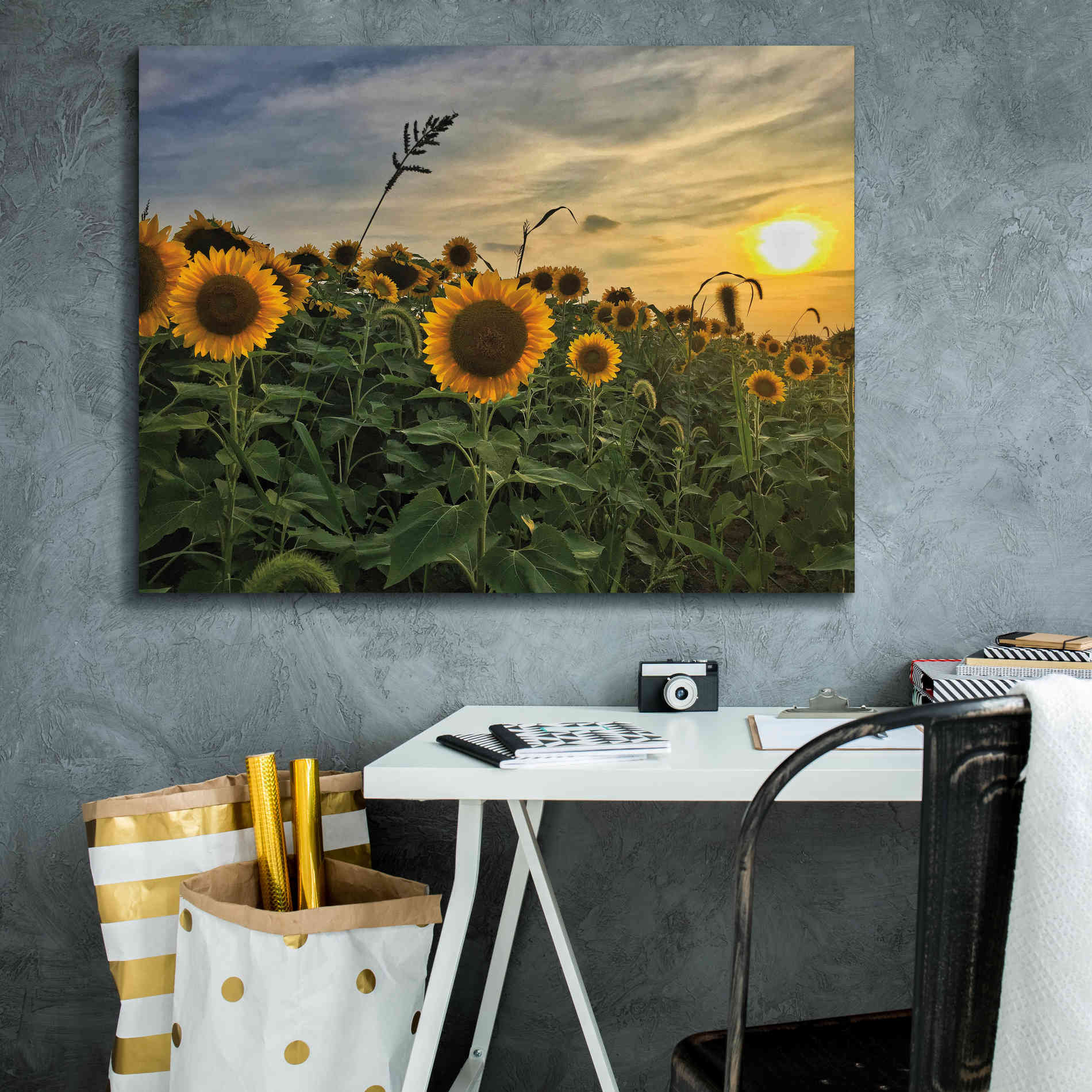 'Midwest Livin' I' by Donnie Quillen Canvas Wall Art,34 x 26