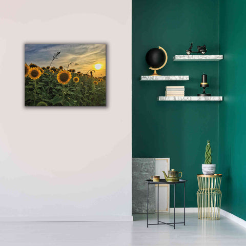 Image of 'Midwest Livin' I' by Donnie Quillen Canvas Wall Art,34 x 26