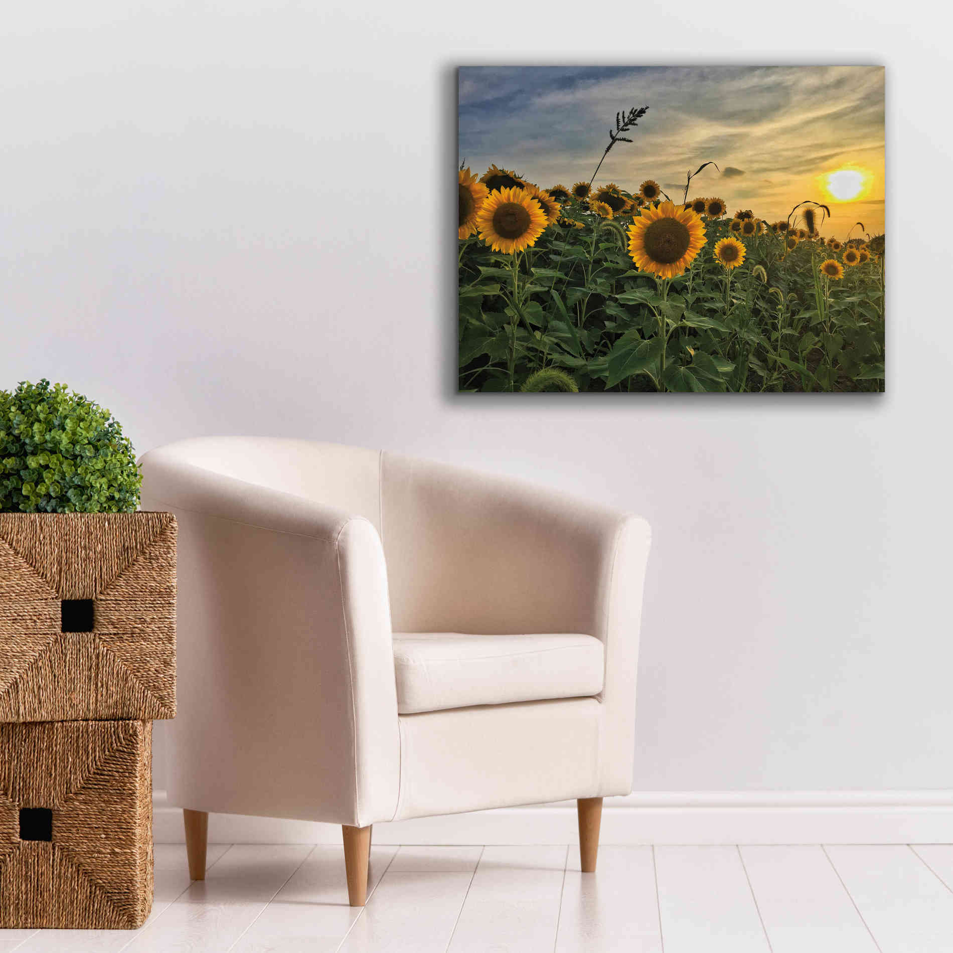 'Midwest Livin' I' by Donnie Quillen Canvas Wall Art,34 x 26