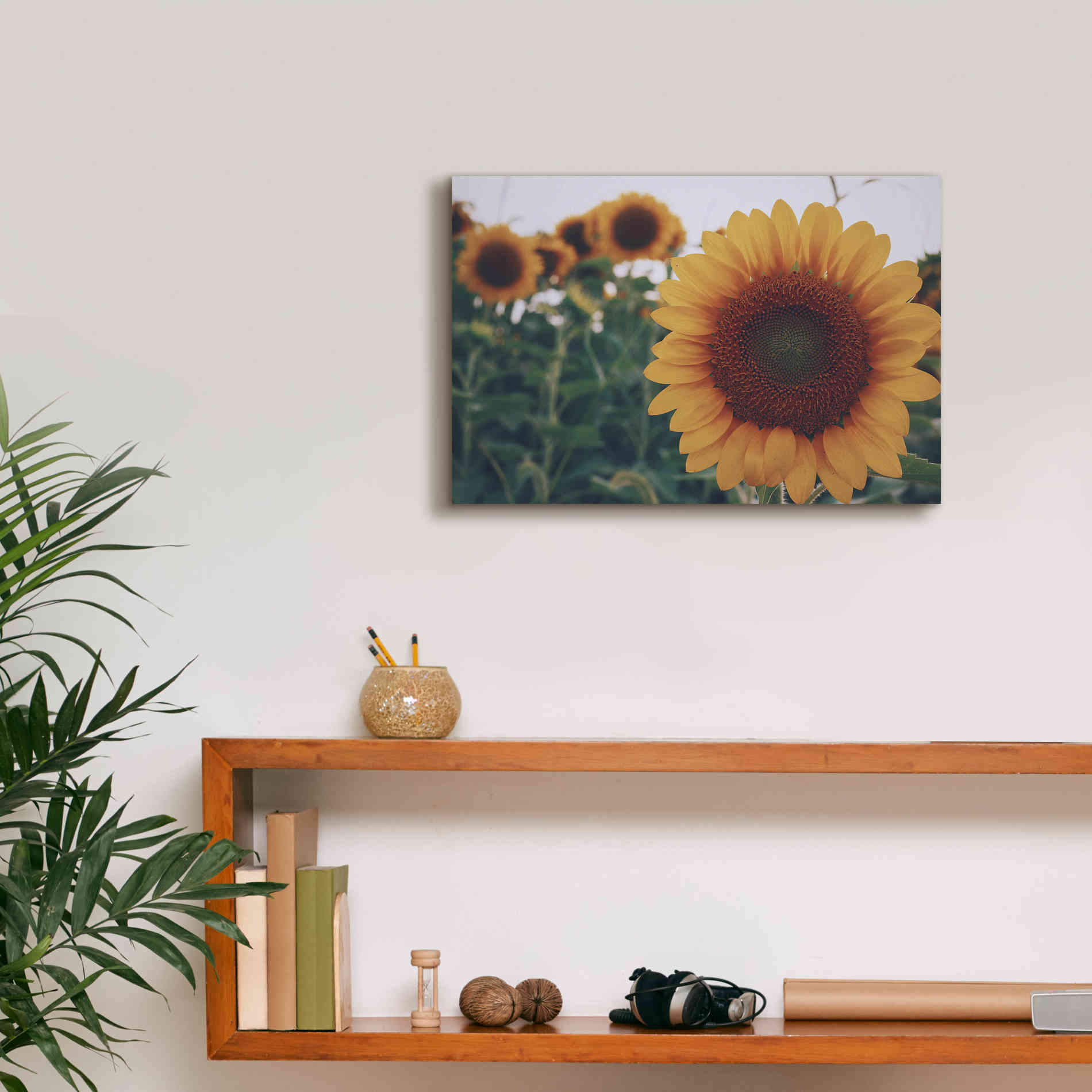 'Midwest Livin' II' by Donnie Quillen Canvas Wall Art,18 x 12